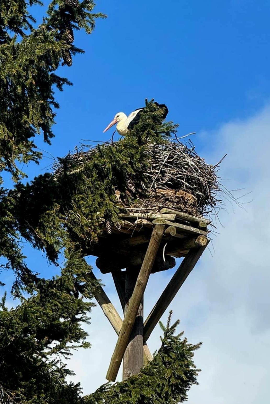 Stara Szkolas7 Noclegi,Mzajezierze 8 14-330 Mazury Małdyty Buitenkant foto