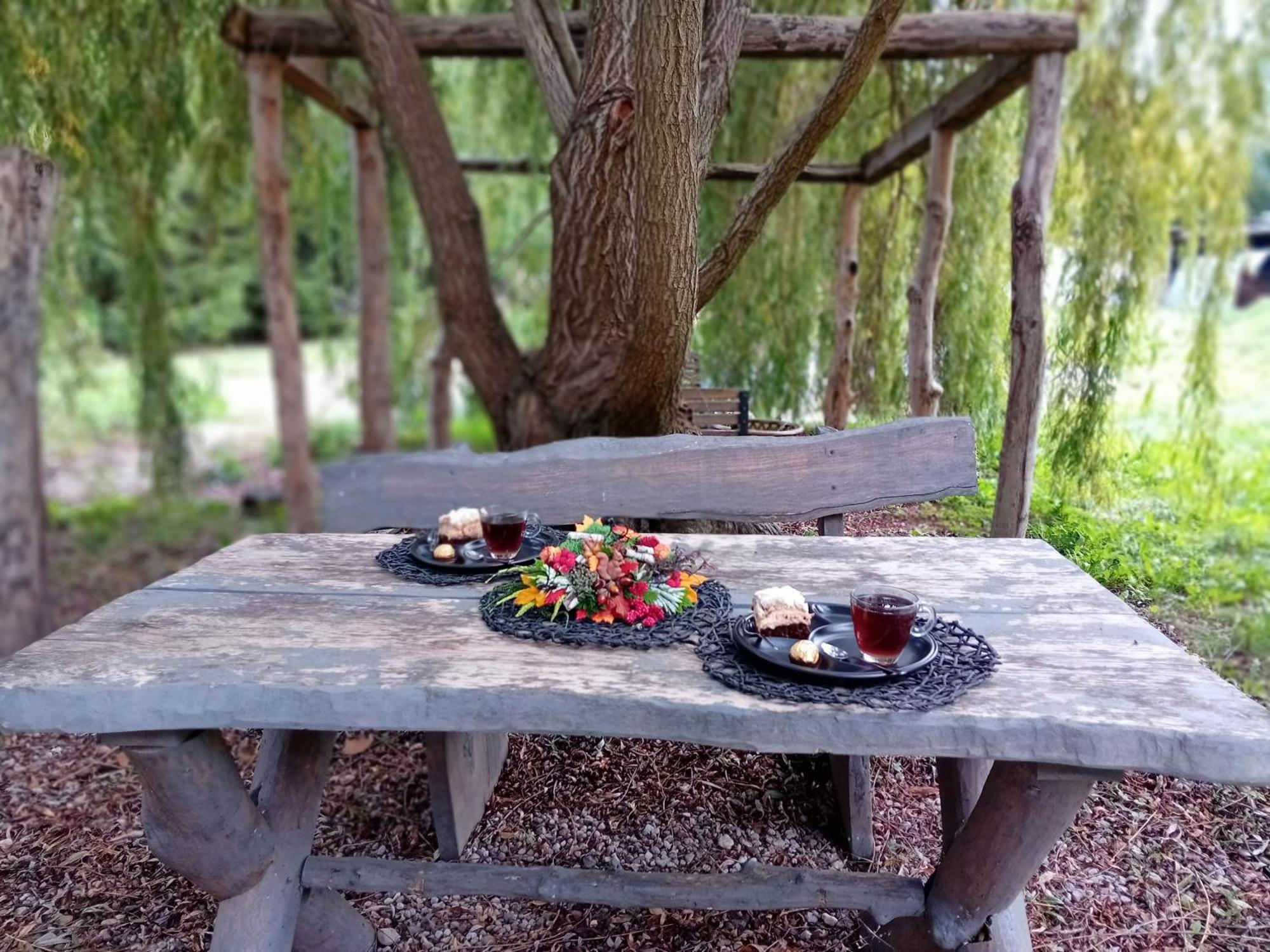 Stara Szkolas7 Noclegi,Mzajezierze 8 14-330 Mazury Małdyty Buitenkant foto